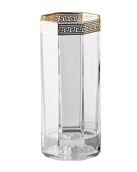 versace drinking glasses.